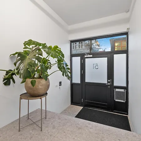 Penthouse On The Shopping Street-free Parking Reykjavik
