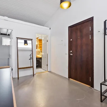 Penthouse On The Shopping Street-free Parking Apartment Reykjavik